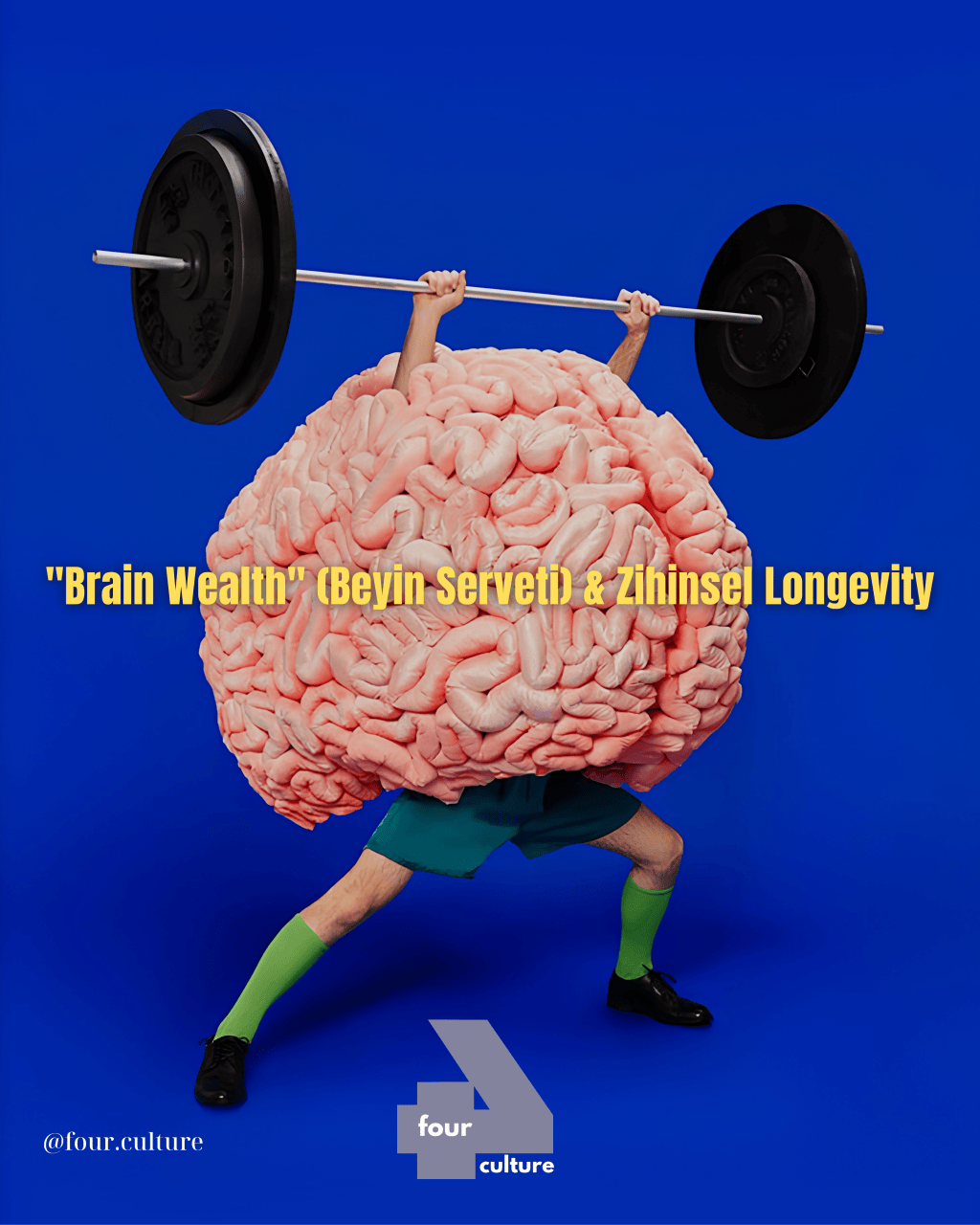 “Brain Wealth” (Beyin Serveti) & Zihinsel&nbsp;Longevity