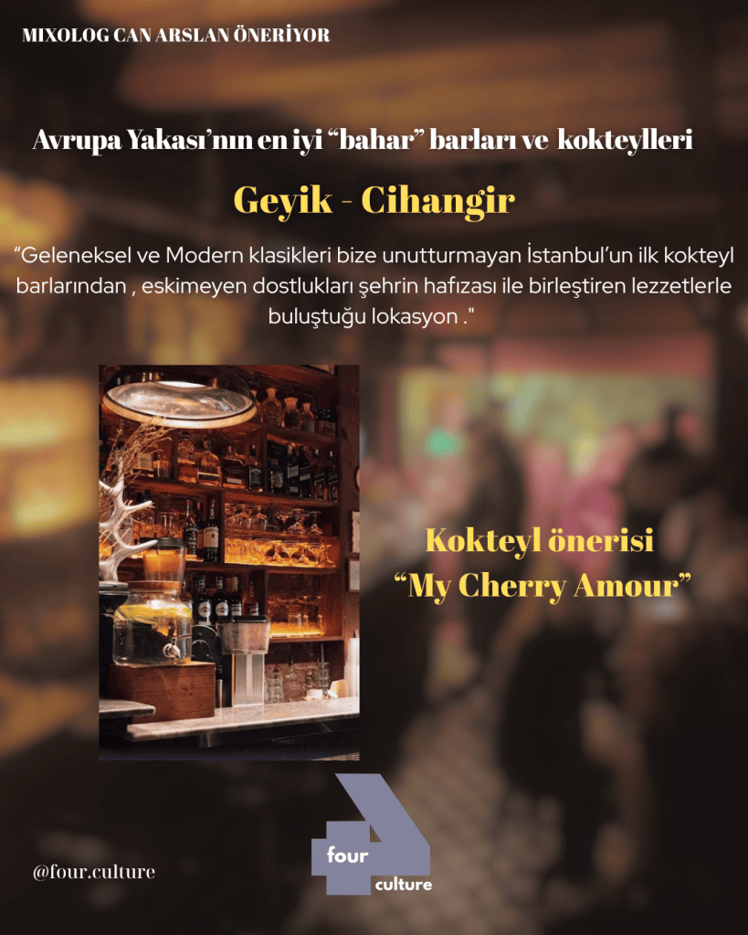 Cihangir'deki Geyik barının iç mekan fotoğrafı, klasik ve modern kokteyller sunan bir ortamı yansıtıyor.